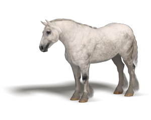draft horse for Poser Millennium Horse model by Daz3d