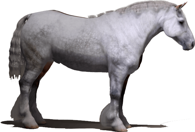 Daz3d Millennium Horse (MilHorse) custom heavy horse morph and texture