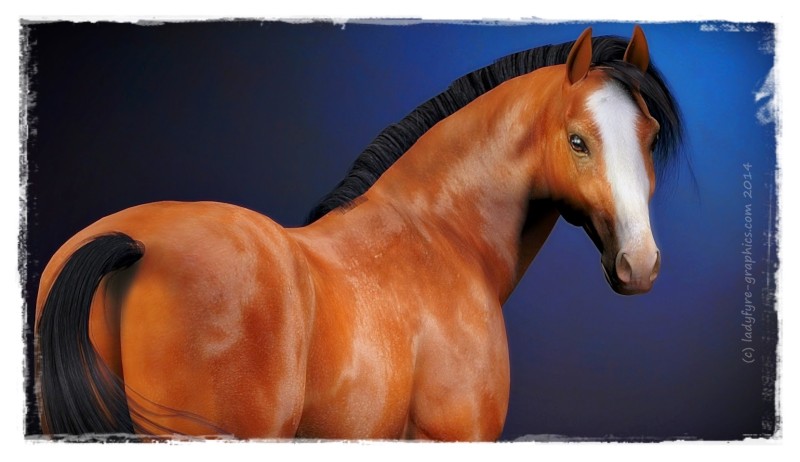 New Texture for Hivewire 3d Horse Harry