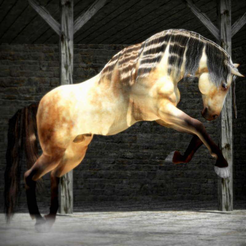 Daz Millennium Horse rendered in Carrara | 3d Horse Gallery | Poser, Carrara, Daz Studio
