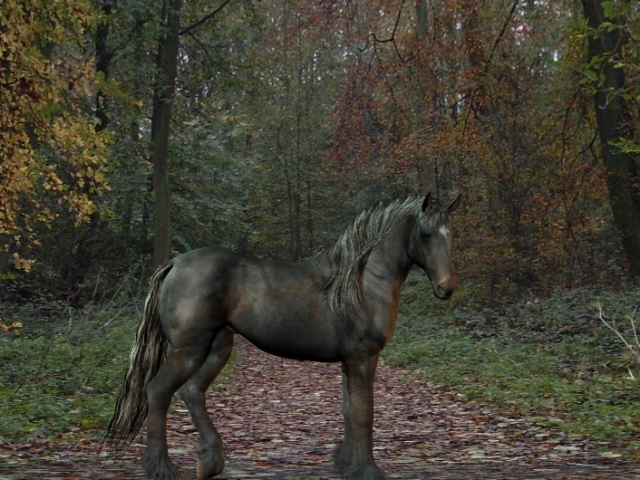 Nov-04-photo-drop-001_2