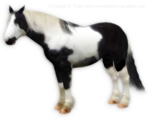 Piebald Gypsy Vanner for Daz3d Millennium Horse