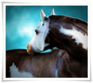 Bay Paint Millennium Horse Texture