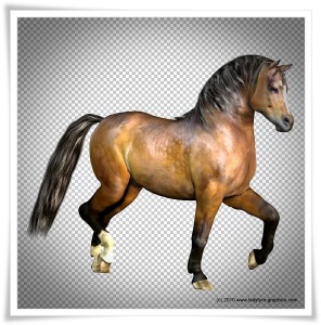 Glossy bay texture for the Millennium Horse (MilHorse)