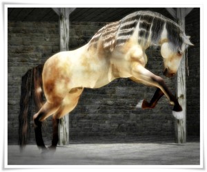 Carrara dynamic hair on Daz Millennium Horse