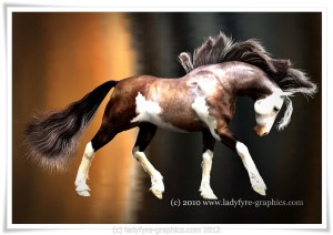 Bay Tobanio Paint for MilHorse