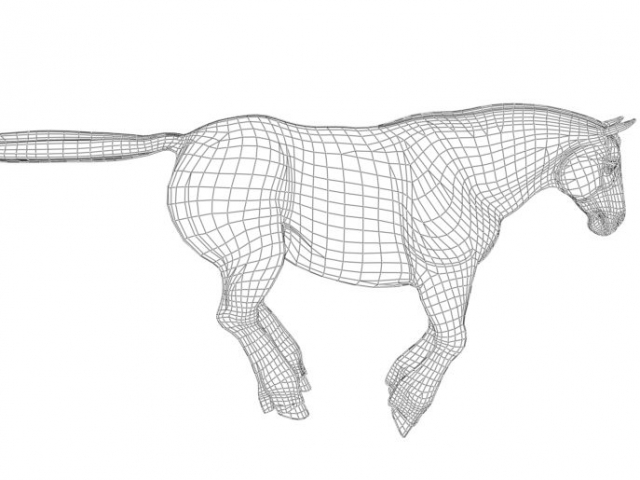Charger Horse Wireframe