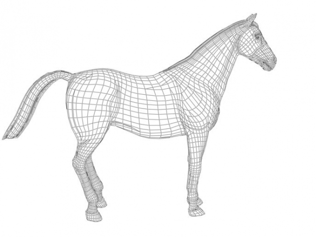Poser 4 Horse Wireframe