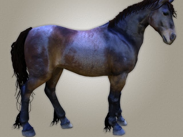 Poser 4 War Horse free texture for the Poser 4 (P4) horse