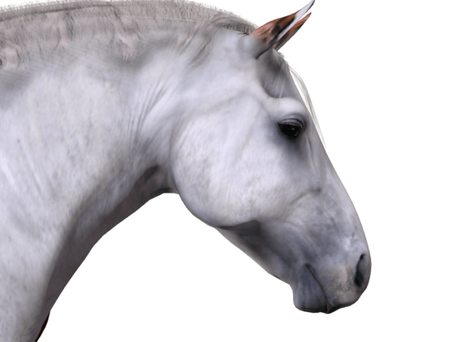 lfg_drafthorse_grey_001