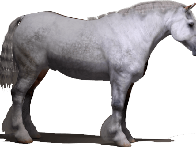 lfg_drafthorse_grey_003