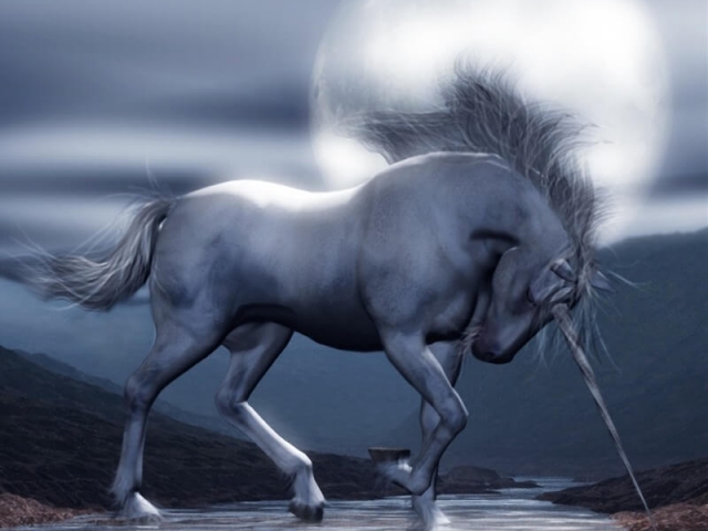 Unicorn Moon Poser and Vue Unicorn Render Unicorn Moon Poser and Vue Unicorn Render