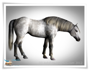 chunky cob morph for Daz Horse 2 3d modle
