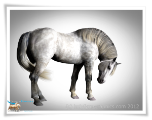 Chunky Cob type for DHorse2