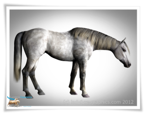 Daz Horse 2 new morph