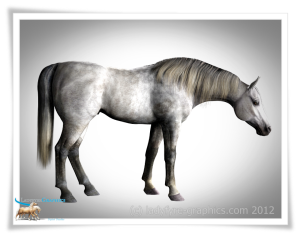 morph for Daz Horse 2