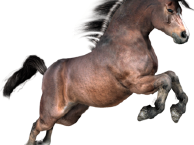 milhorse_realistic_002