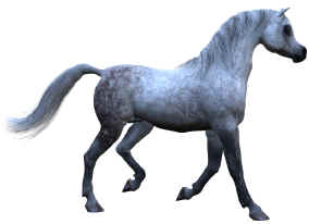 Alla's Arabian for the Daz 3d Millennium Horse 3d Model