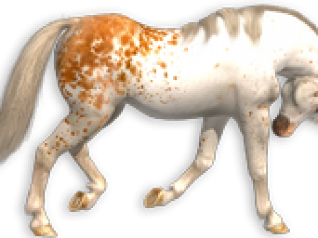 appaloosa_poser_horse_texture