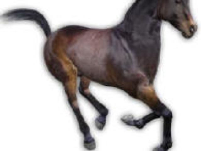 Poser freebies | Free content for Poser and Daz Studio poser freebies