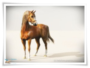 Daz Horse 2 3d Horse Rendered in Vue