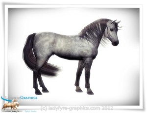 Arab Blood Morph for Daz Horse 2