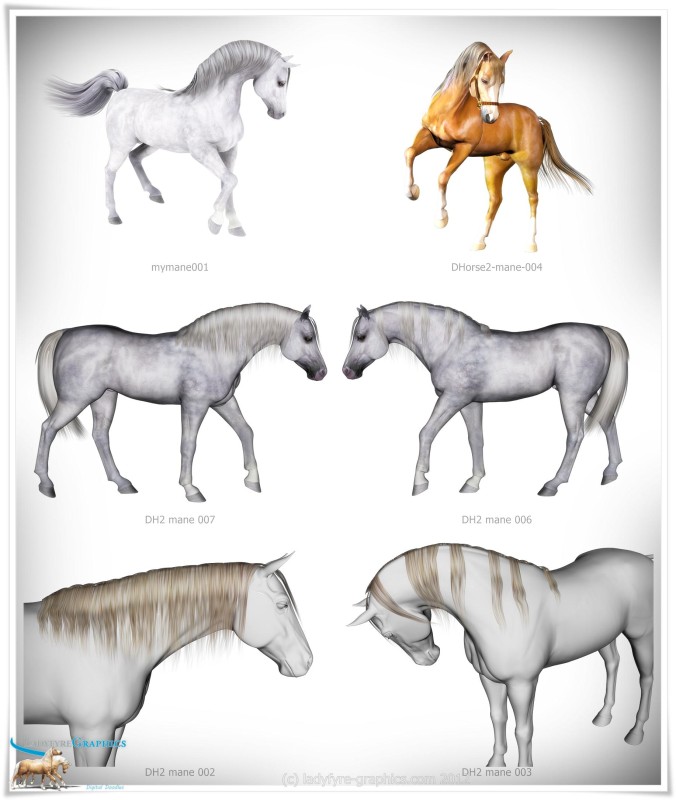 Conforming mane for the Daz Horse 2 3d figure for Daz Studio and Poser