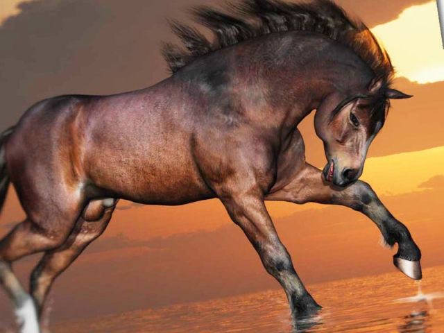 native_pony_millennium_horse_daz3d_001 Millennium Horse Native Pony Character and Texture