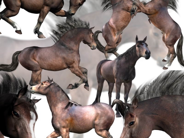 native_pony_millennium_horse_daz3d_001_01