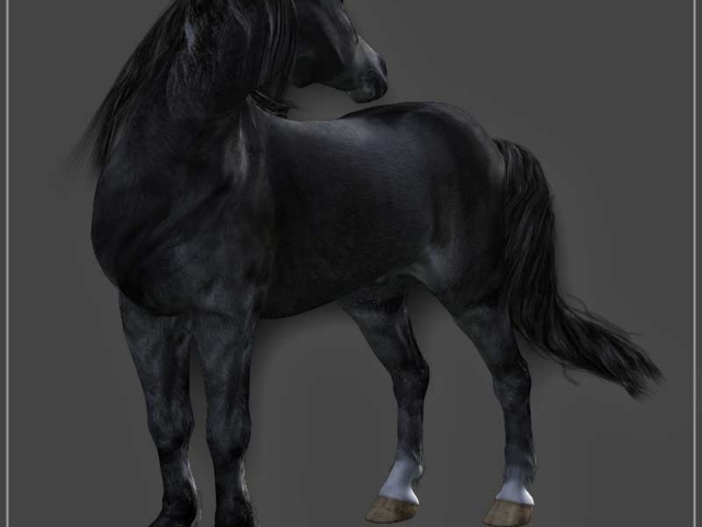 native_pony_millennium_horse_daz3d_001_08