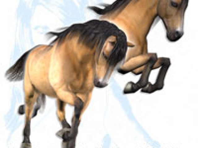 Realistic dun free texture for the poser horse Realistic dun free texture for the poser horse