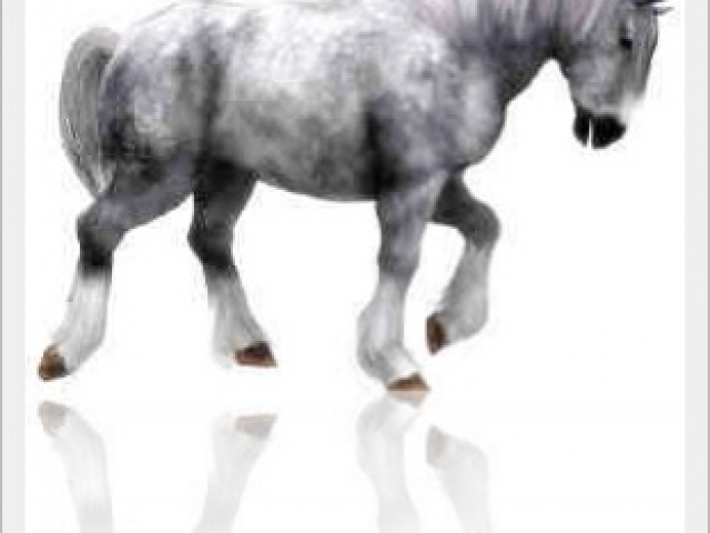 ultimate-daz-3d-charger-poses-002