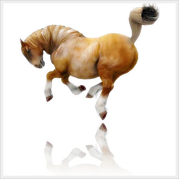 Ultimate Daz 3d Charger Poses and Animated Gallop Cycle