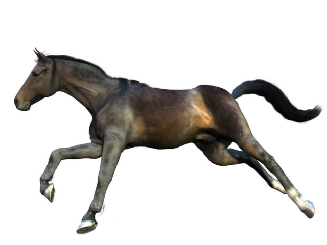 ultimate_equine_002