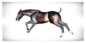 thoroughbred 3d horse model