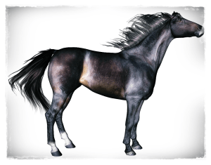 Thoroughbred horse character for Daz Horse 2