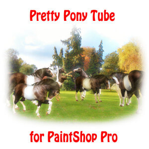 Cute Pony Tube for Paintshop Pro