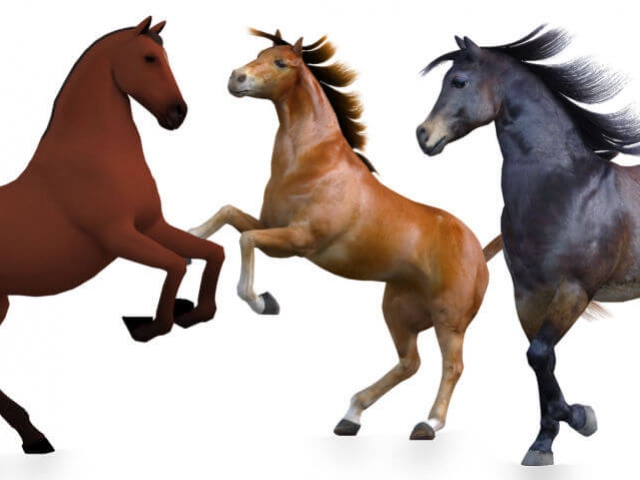 3 P4 Horses rendered in Carrara with dynamic hair default Poser horse compared to textured and morphed version
