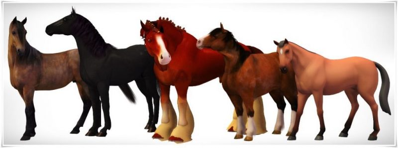 Poser 3d horse models