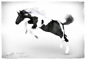 HW Horse with CWRW's Gypsy Vanner Texture