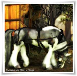 Poser Heavy Horse model, Gypsy Vanner - 3d horse render gallery, rendered with Poser, Daz Studio and Carrara