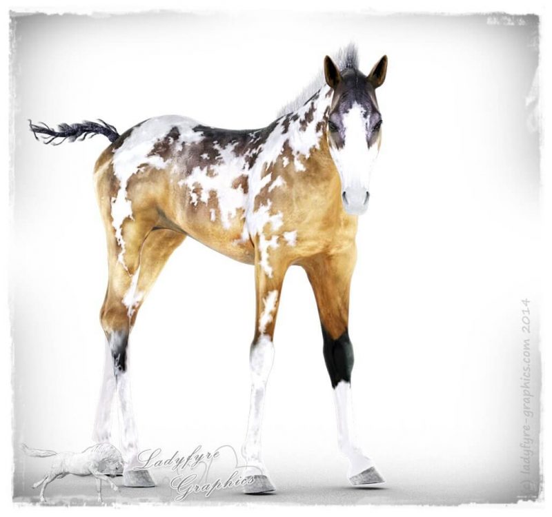 Millennium Horse Foal, rendered in Daz Studio Iray
