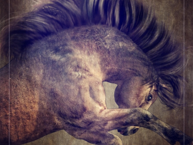 Millennium Horse Realistic Native Pony Millennium Horse Native Pony Character, texture and full body morph FBM