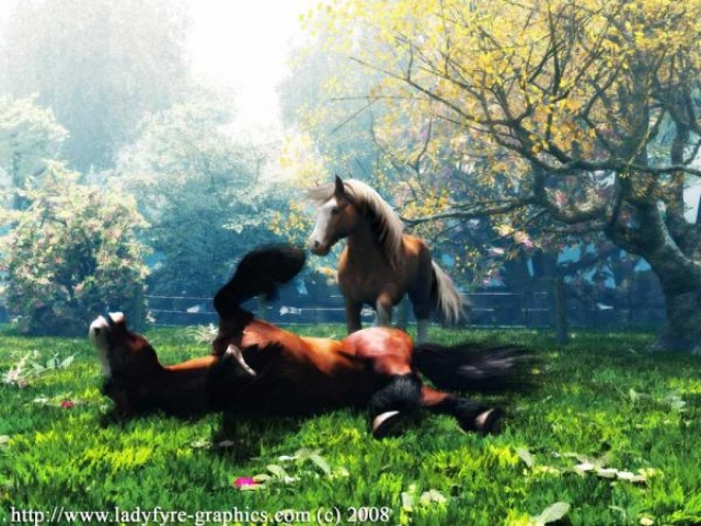 normal_heavy-horses-playing-00008