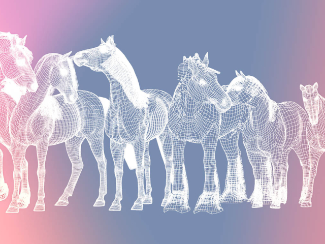 Evoloution of the digital horse 3d model Evoloution of the digital horse 3d model